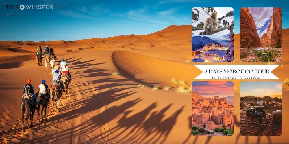 Best 2 Days Morocco Desert Tour from Fes to Marrakech 2025/26