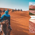 Best 3-Day tour from Marrakech to Fes—Morocco Desert Trips